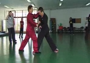 Wahnam Taijiquan