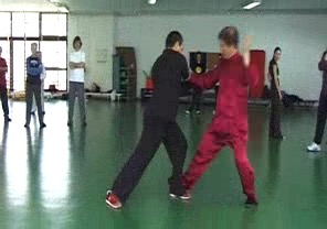 Wahnam Taijiquan