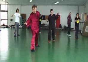 Wahnam Taijiquan