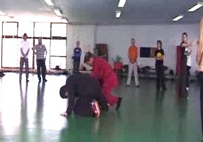 Wahnam Taijiquan