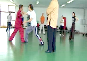 Wahnam Taijiquan