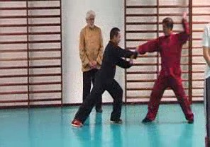 Wahnam Taijiquan