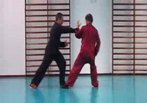 Wahnam Taijiquan