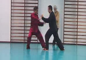 Taijiquan combat sequences