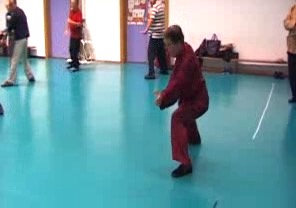 Wahnam Taijiquan