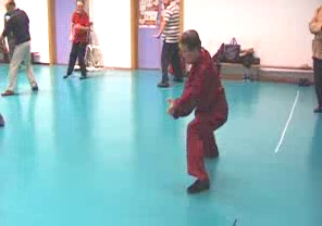 Wahnam Taijiquan