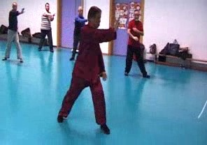 Wahnam Taijiquan