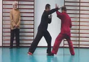 Taijiquan