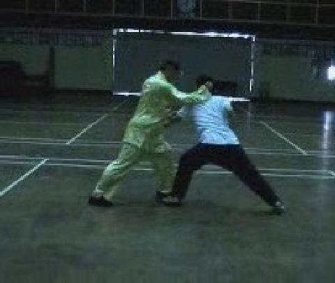 Twelve Punches in Shaolin Kung Fu