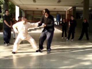 Wahnam Taijiquan