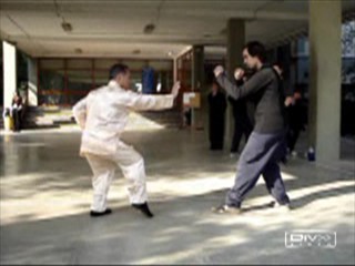 Shaolin Kung Fu