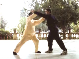 Shaolin Kung Fu