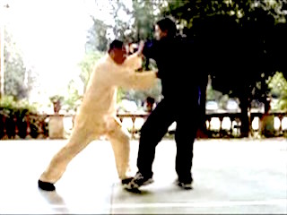 Shaolin Kung Fu