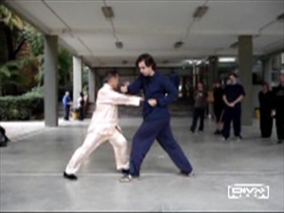 Shaolin Kung Fu