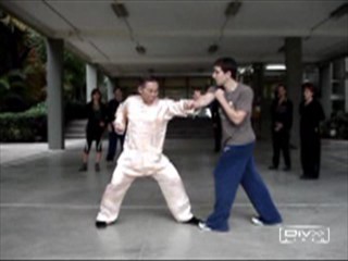 Shaolin Kung Fu