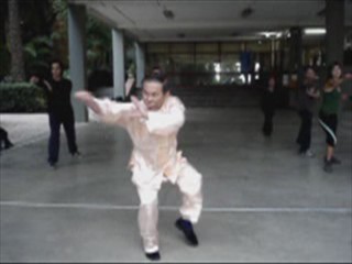 Shaolin Kung Fu