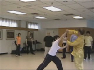 12 Combat Sequences of Shaolin Tantui