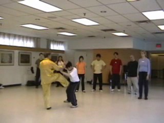 12 Combat Sequences of Shaolin Tantui