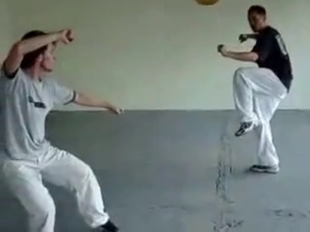 Shaolin Tantui