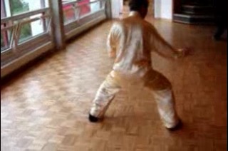 Shaolin Combat Sequences