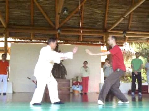 Wahnam Taijiquan