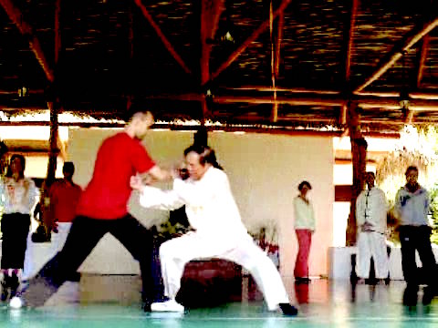 Wahnam Taijiquan