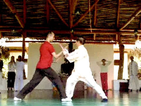 Wahnam Taijiquan