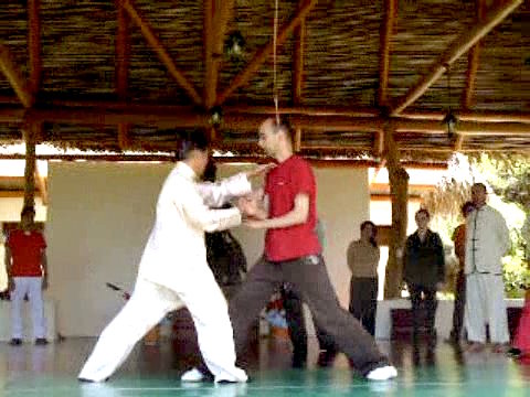 Wahnam Taijiquan