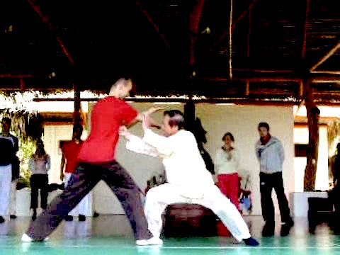 Wahnam Taijiquan