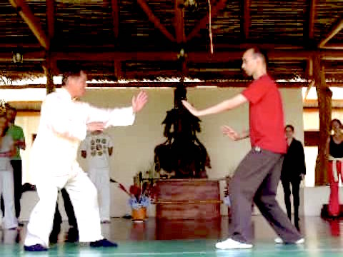 Wahnam Taijiquan