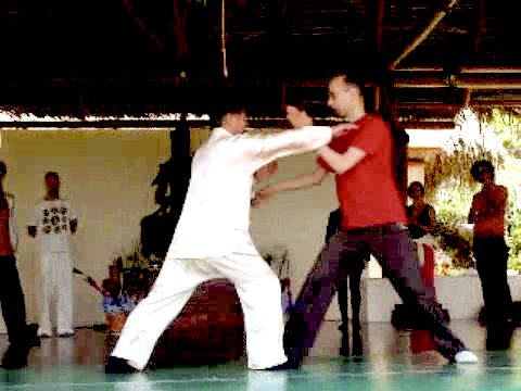 Wahnam Taijiquan