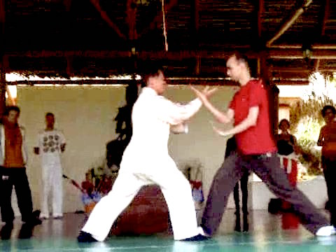 Wahnam Taijiquan