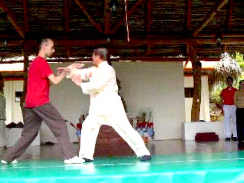 Wahnam Taijiquan