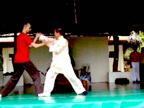 Wahnam Taijiquan