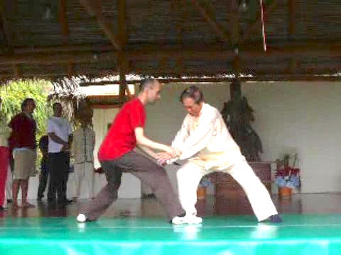 Wahnam Taijiquan