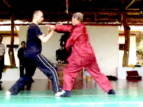 Wahnam Taijiquan