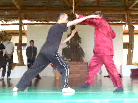 Wahnam Taijiquan