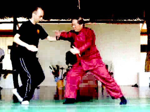 Wahnam Taijiquan