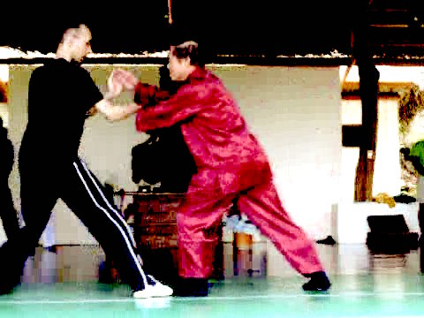 Wahnam Taijiquan