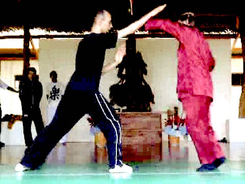 Wahnam Taijiquan