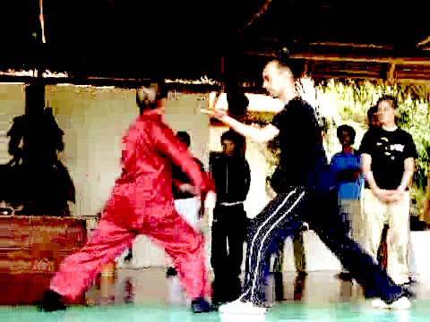 Wahnam Taijiquan