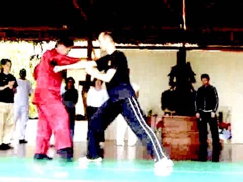 Wahnam Taijiquan