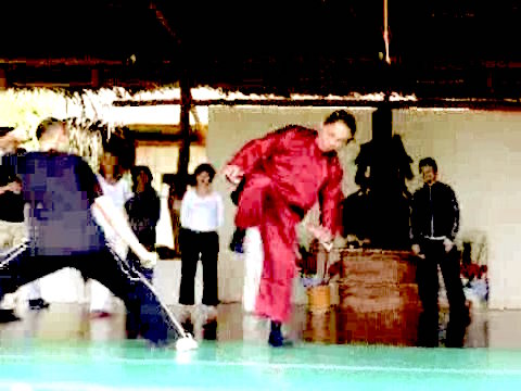 Wahnam Taijiquan