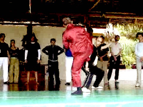 Wahnam Taijiquan