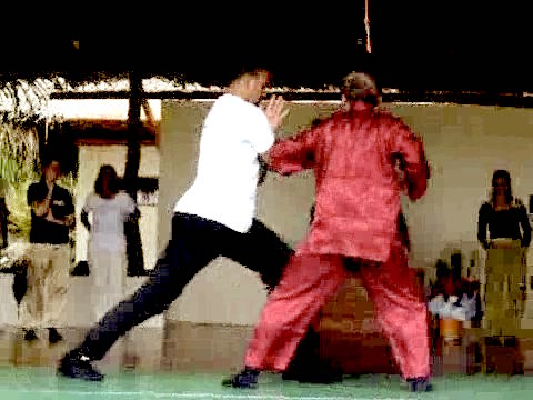 Wahnam Taijiquan