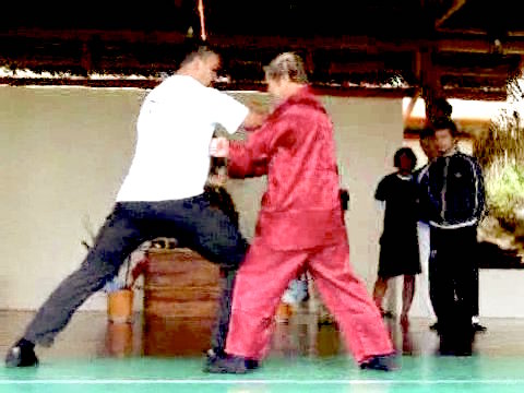 Wahnam Taijiquan