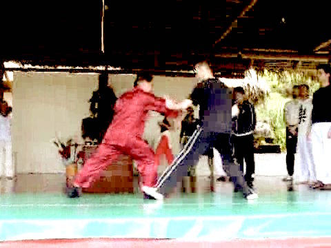 Wahnam Taijiquan