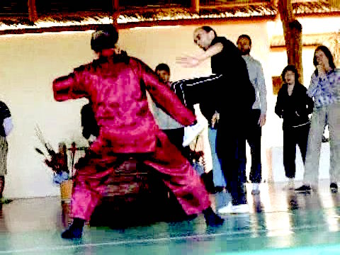 Wahnam Taijiquan