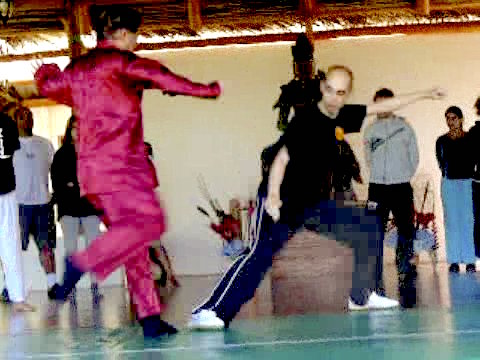 Wahnam Taijiquan