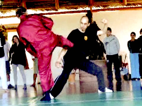 Wahnam Taijiquan